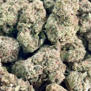 Where To Buy Gruntz No.2 – 1 lb Flower Online | Bulk Exotic Cannabis A premium wholesale bulk bag containing one pound of dense, trichome-covered Gruntz No.2 exotic cannabis flower