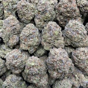 Where To Buy Gruntz 1lb Flower Online | Bulk Exotic Cannabis Wholesale A premium wholesale bulk bag containing one pound of dense, trichome-covered Gruntz exotic cannabis flower
