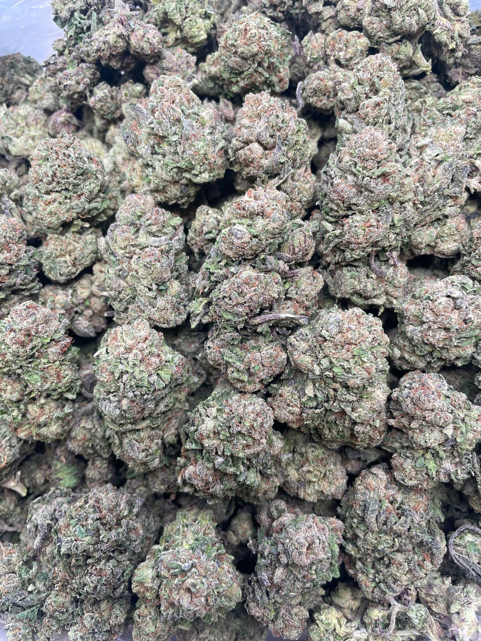 Blueberry Dum Dumz 1lb AAA bulk flower with dense buds and secure discreet packaging for Australia delivery