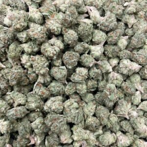 A premium wholesale bulk bag containing one pound of dense, frosty Gelato Smalls exotic cannabis flower buds