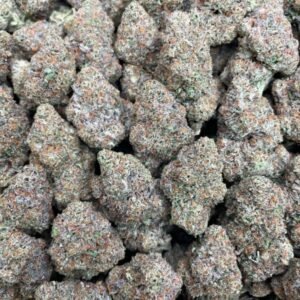 A premium wholesale bulk bag containing one pound of dense, trichome-covered Gobstopperz AAA exotic cannabis flower